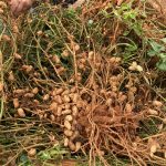 WhatsApp Image 2021-08-12 at 19.19.11 (1)