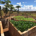 WhatsApp Image 2021-08-12 at 19.25.25