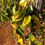 WhatsApp Image 2021-08-12 at 19.25.35