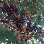 WhatsApp Image 2021-08-12 at 19.39.15