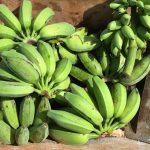 WhatsApp Image 2021-08-12 at 19.39.41