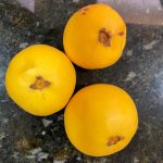 WhatsApp Image 2021-08-13 at 00.14.30