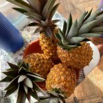 WhatsApp Image 2021-08-13 at 00.14.36