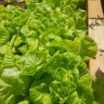 WhatsApp Image 2021-08-13 at 00.14.37