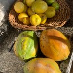 WhatsApp Image 2021-08-13 at 07.42.24